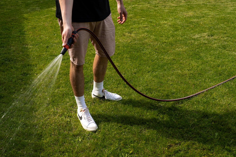 Lawn maintenance