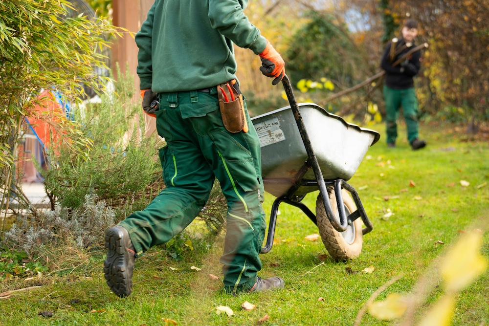 Landscape transformation